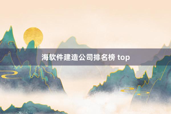 海软件建造公司排名榜 top