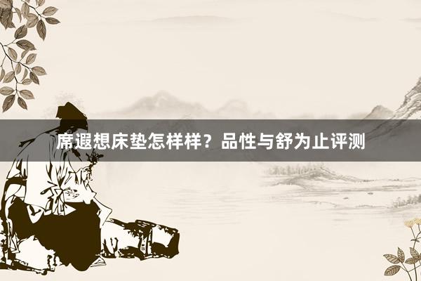 席遐想床垫怎样样？品性与舒为止评测