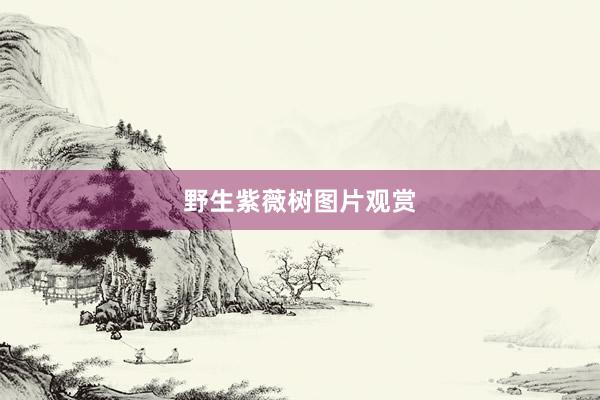 野生紫薇树图片观赏