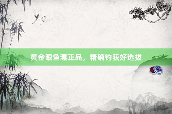 黄金眼鱼漂正品，精确钓获好选拔